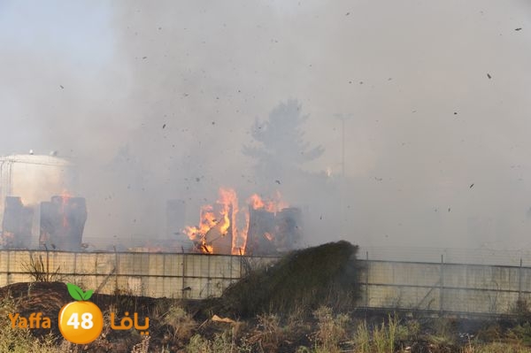 firecartoonsecnd506 (38).JPG